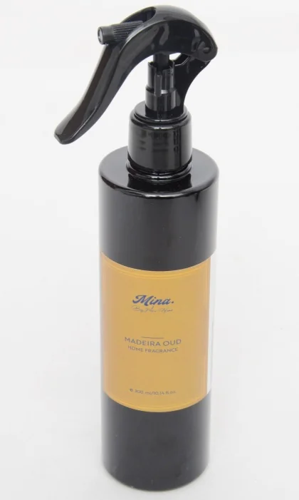 300 ML  0.273 KG  MADERA DE OUD PLASTIQUE