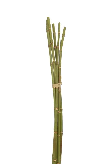 1382	BAMBOO BUNCH GREEN S