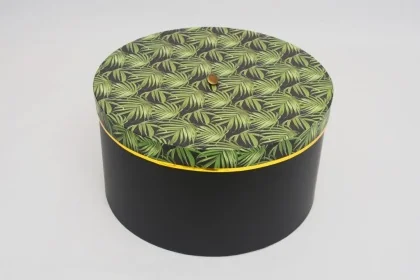 157220 29 X 16 CM 0.406KG NOIR VERT CARTONS