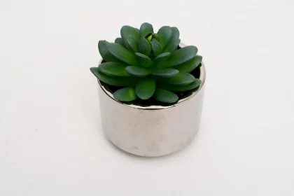 145000A 12 X 8 CM 0.212 KG GRIS VERT CERAMIQUE