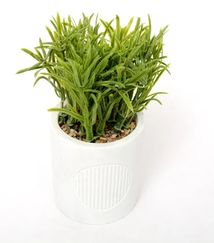 181436 18 X 8cm 0,376 KG BLANC VERT PLASTIQUE