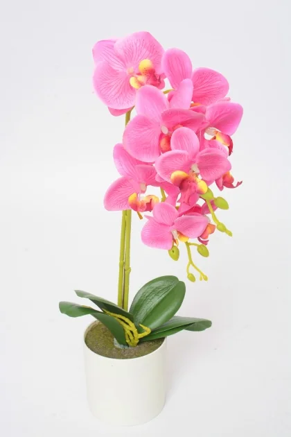 55249  51CM 0.304KG FUSHIA PLASTIQUE