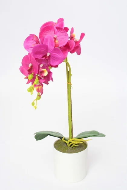 55249 51CM 0.304KG MAUVE PLASTIQUE
